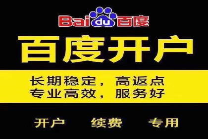 百度竞价托管：案例背后的数据解读